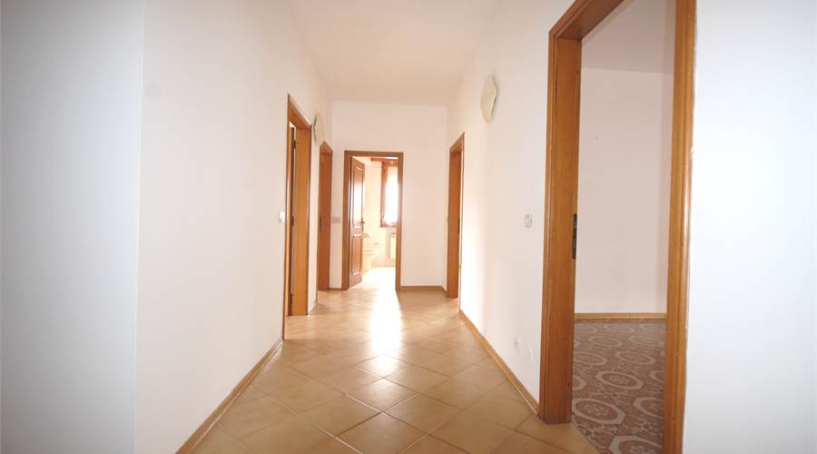 Ingresso