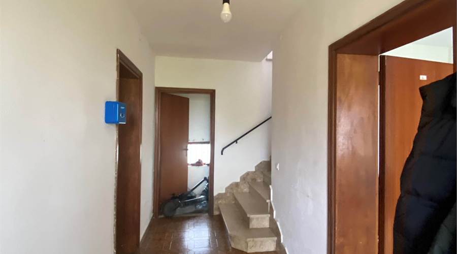 ingresso