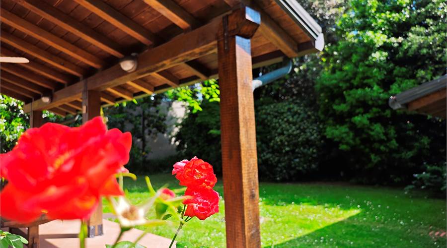 primo piano giardino