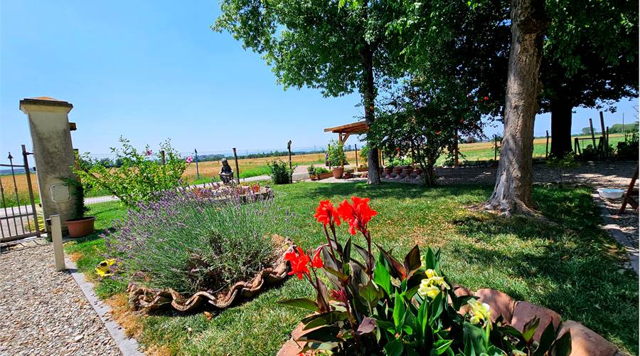 GIARDINO