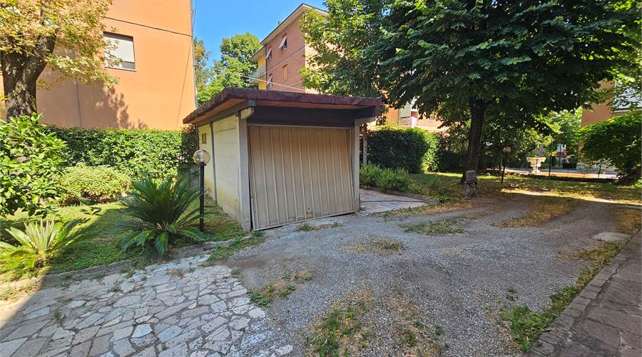 GIARDINO