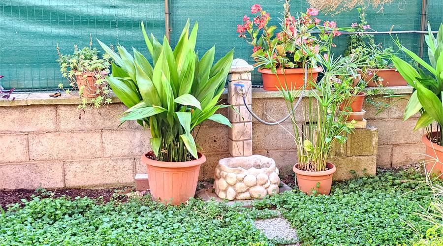 GIARDINO