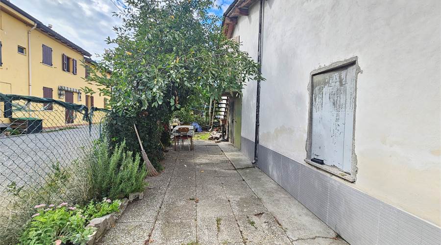 AREA CORTILIVA